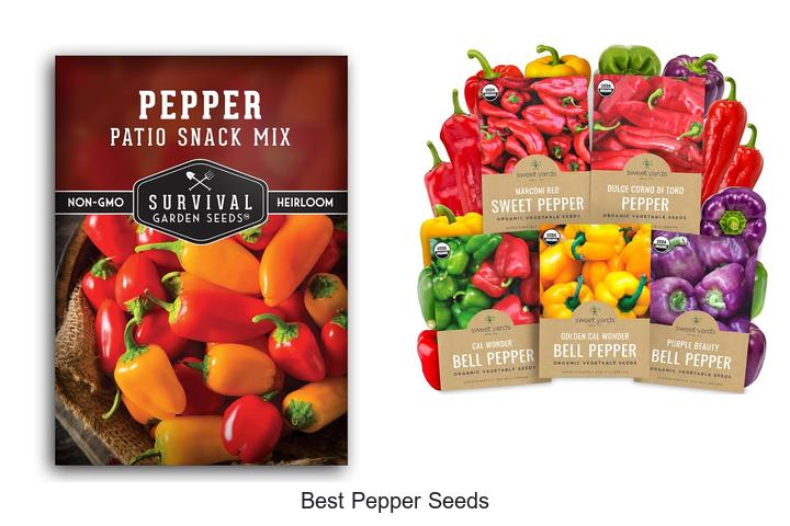 Best Pepper Seeds That Will Transform Your Garden Fast