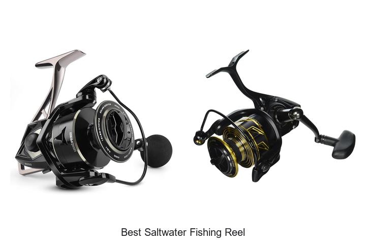 Best Saltwater Fishing Reel That Will Boost Your Catch Now