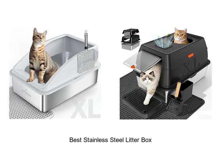 Best Stainless Steel Litter Box That Cats Absolutely Love