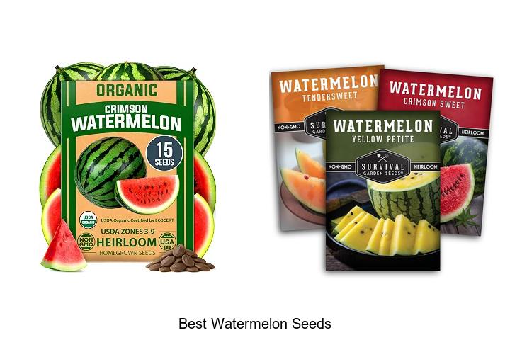 Best Watermelon Seeds To Grow Juicy, Sweet Melons Fast!