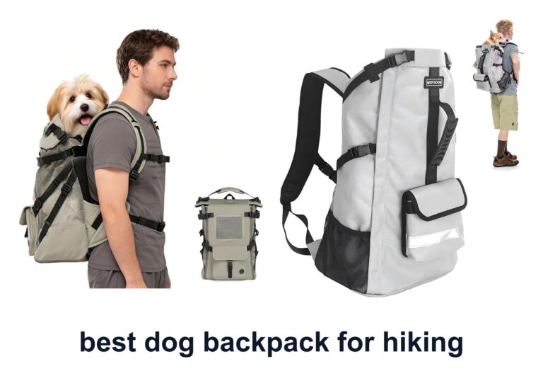 10 Best Dog Backpack Hiking To Ease Trail Days