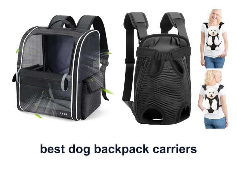 10 Best Dog Backpack Carriers For Easy Travel