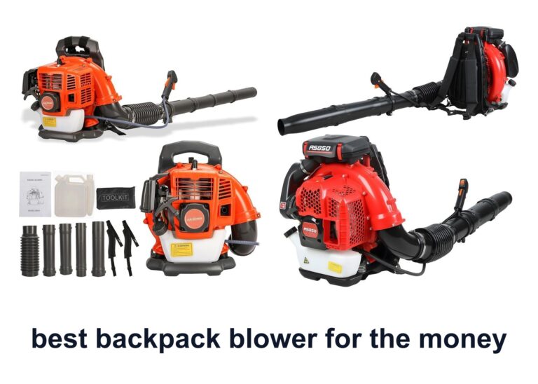 9 Best Backpack Blower Money To Clear Leaves