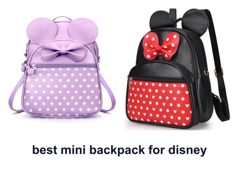 8 Best Mini Backpack Disney for Park Days