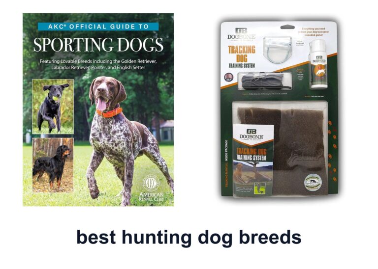 10 Best Hunting Dog Breeds For Better Hunts