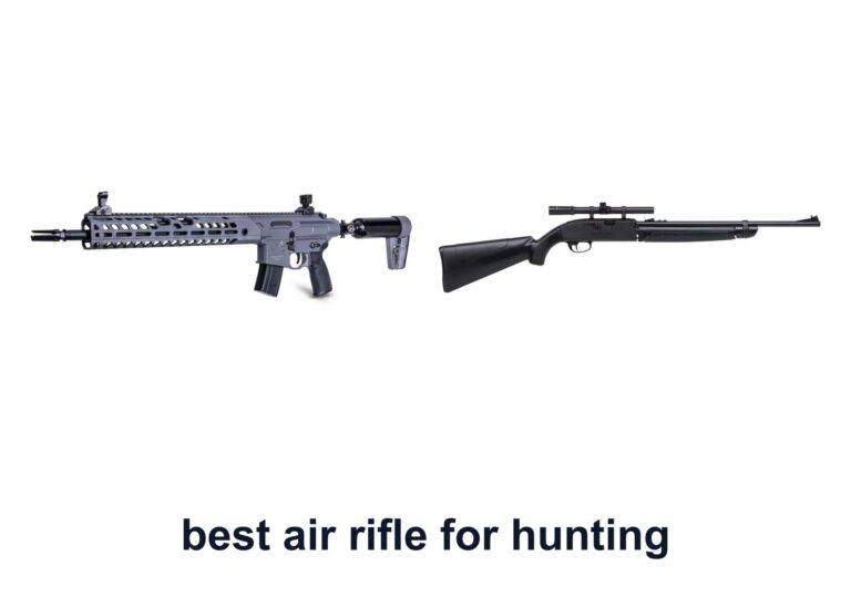 10 Best Air Rifle Hunting For Field Accuracy