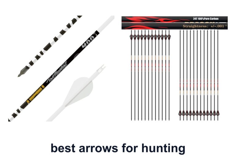 10 Best Arrows Hunting for Better Shots