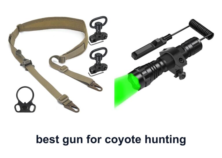 10 Best Gun Coyote Hunting For Night Success