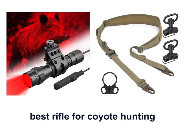 10 Best Rifle Coyote Hunting For Night Hunts