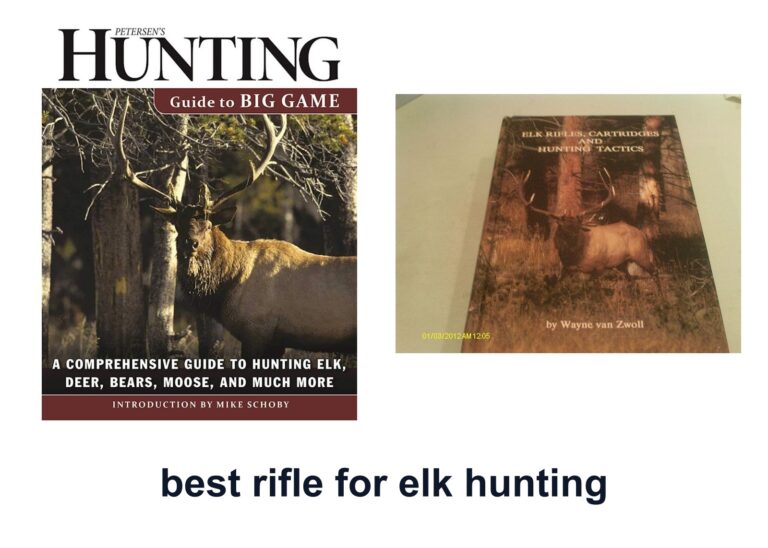 10 Best Rifle Elk Hunting For Better Shots