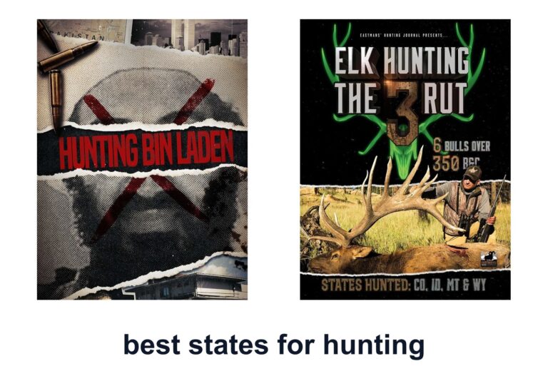 10 Best States Hunting For Smarter Hunts