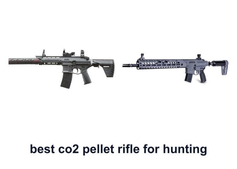 10 Best CO2 Pellet Rifle Hunting for Field Use