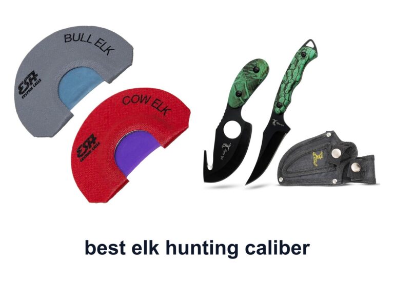 10 Best Elk Hunting Caliber For Better Calls