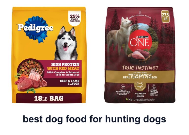 10 Best Dog Food Hunting Dogs To Boost Field Energy