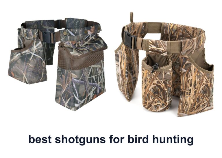 10 Best Shotguns Bird Hunting For Field Control