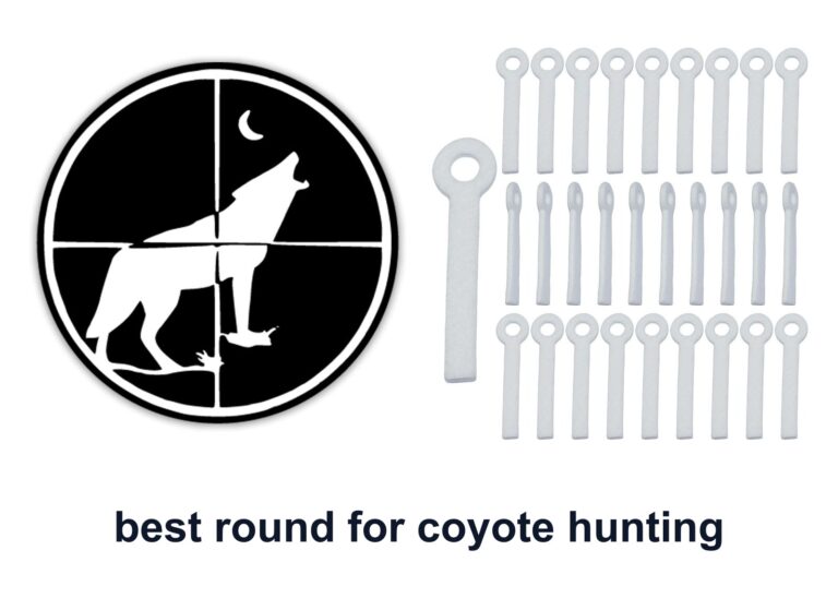 8 Best Round Coyote Hunting To Call Coyotes