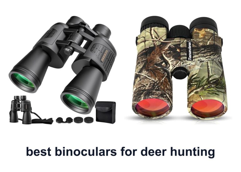 10 Best Binoculars Deer Hunting To Spot More