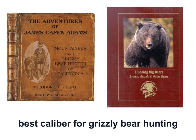 10 Best Caliber Grizzly Bear Hunting to Choose