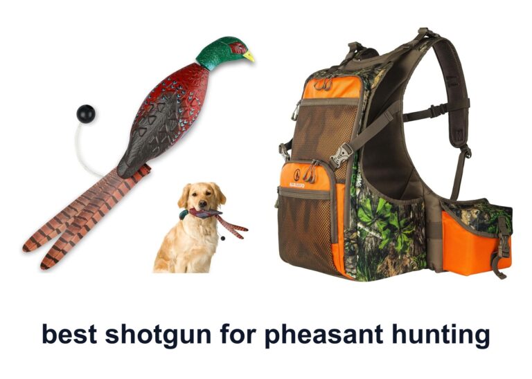 0 Best Shotgun Pheasant Hunting Gear Picks