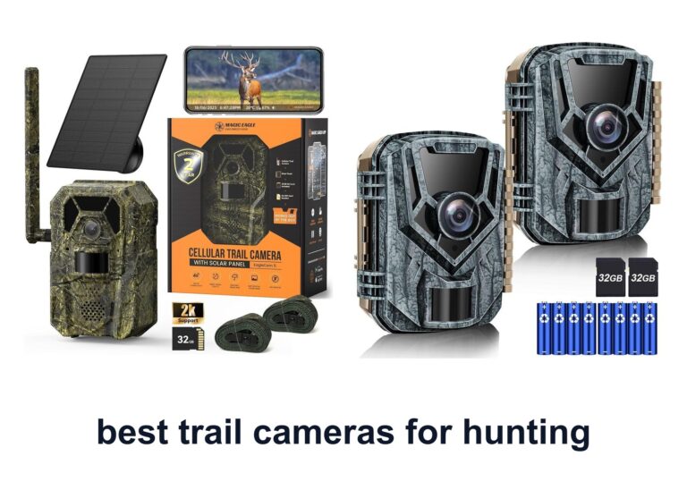 10 Best Trail Cameras Hunting To Spot Game