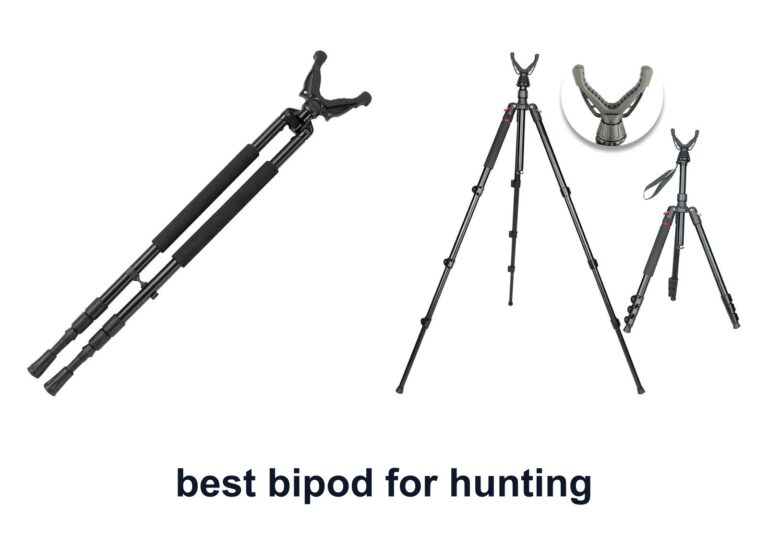 10 Best Bipod Hunting to Steady Your Aim