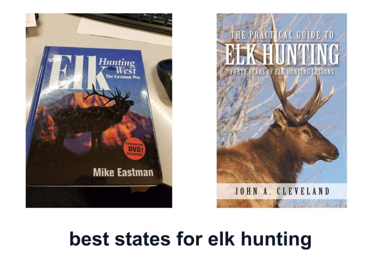 10 Best States Elk Hunting To Find Big Bulls