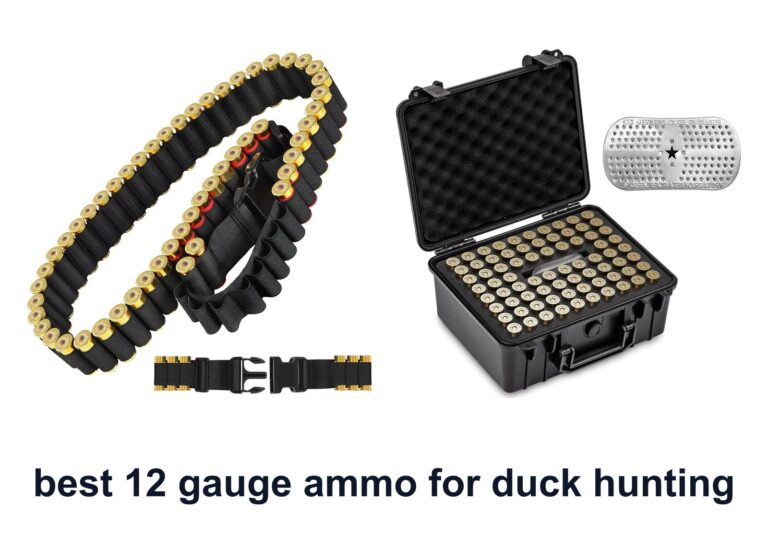 10 Best 12 Gauge Ammo Duck Hunting for Better Hunts