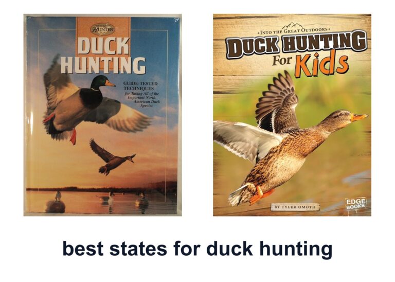 10 Best States Duck Hunting to Find Prime Marshes