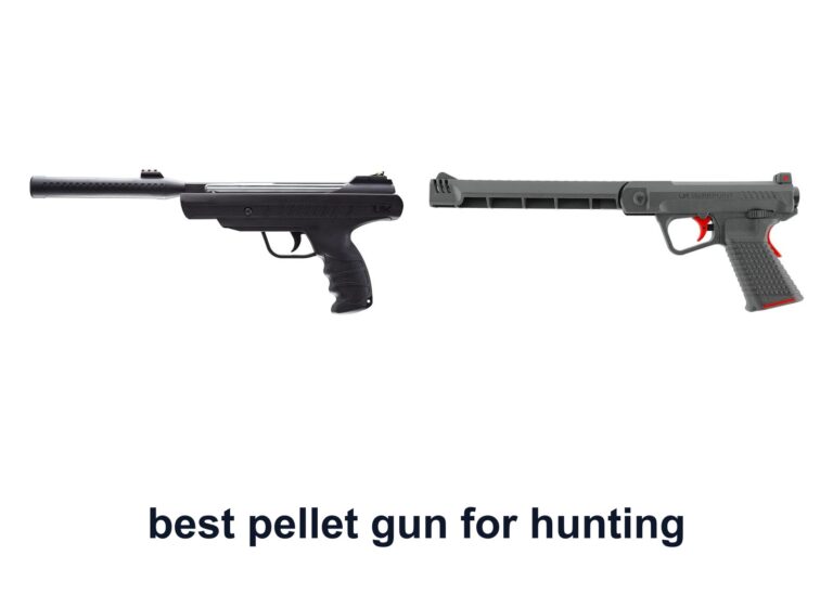 10 Best Pellet Gun Hunting For Better Accuracy