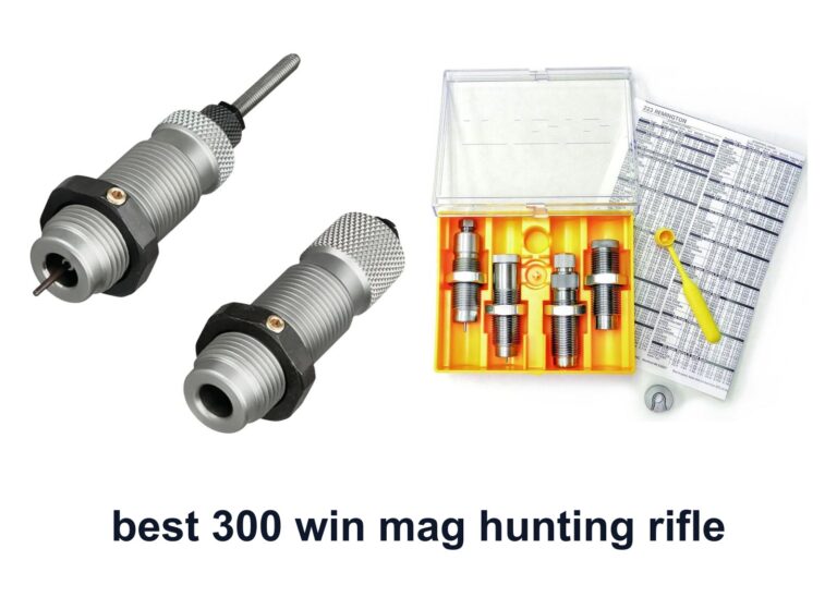 0 Best 300 win mag hunting rifle to Fit Gear
