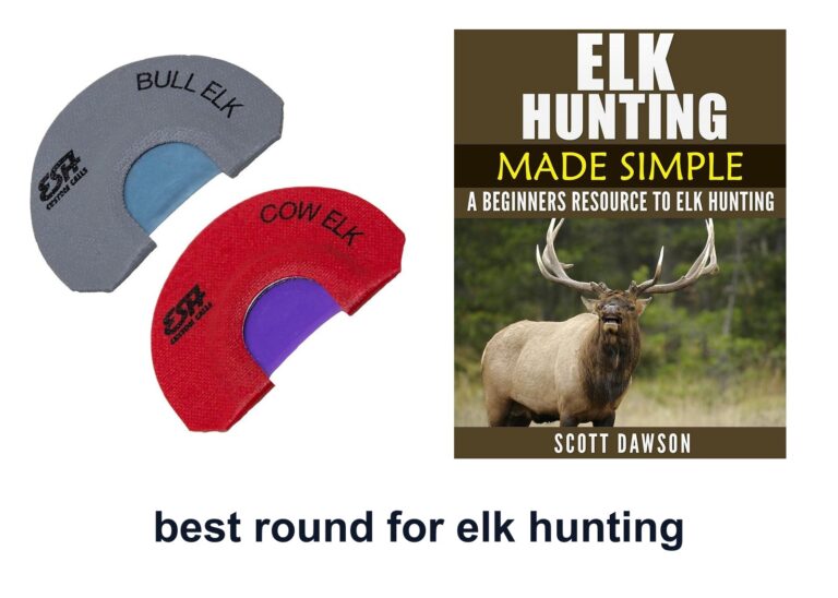 10 Best Round Elk Hunting to Call Elk