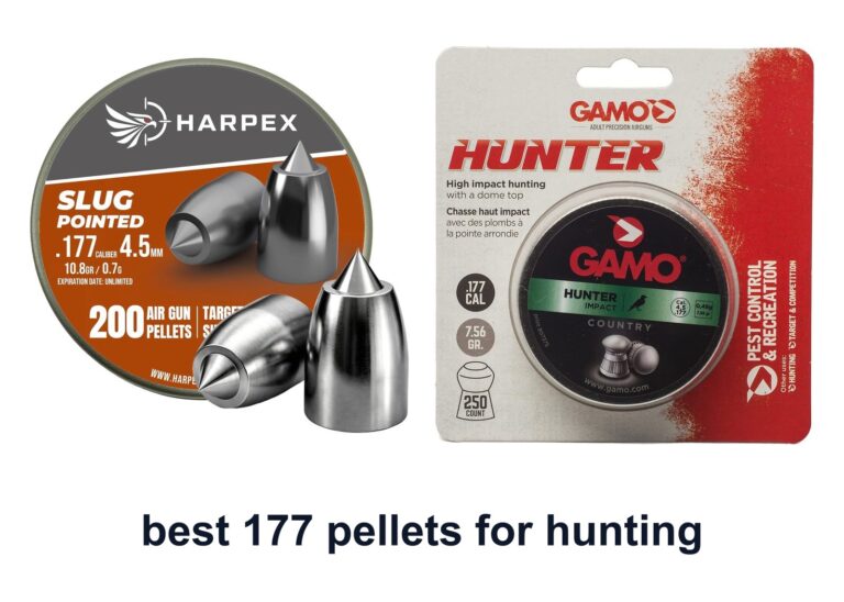 10 Best 177 Pellets Hunting For Small Game