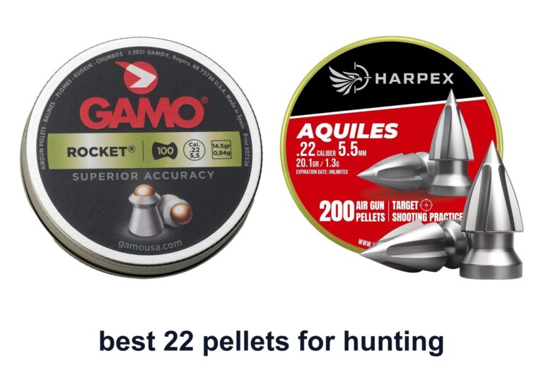 10 Best 22 Pellets Hunting for Cleaner Hits