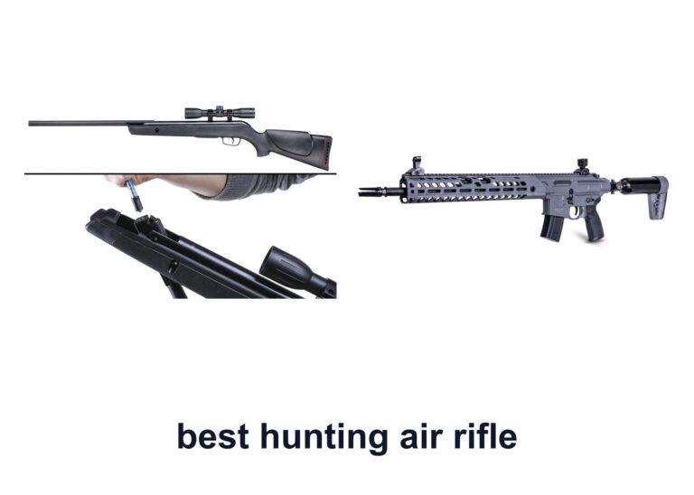 10 Best Hunting Air Rifle for Field Accuracy