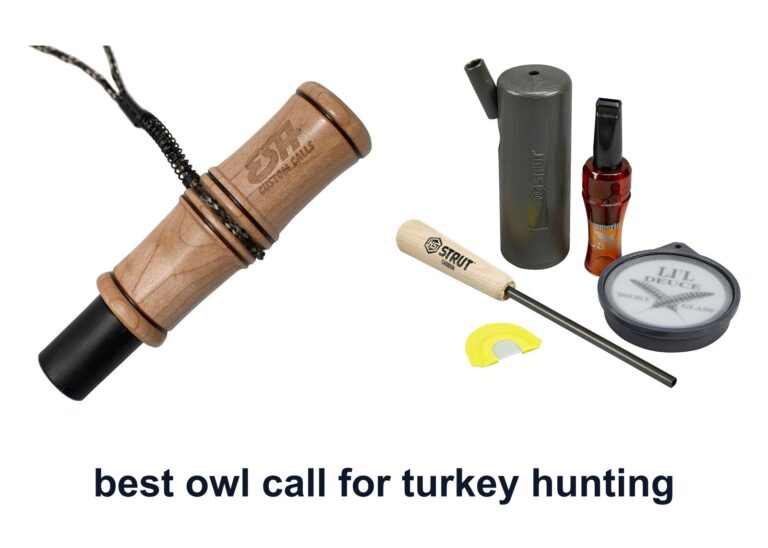 10 Best Owl Call Turkey Hunting To Locate Gobblers