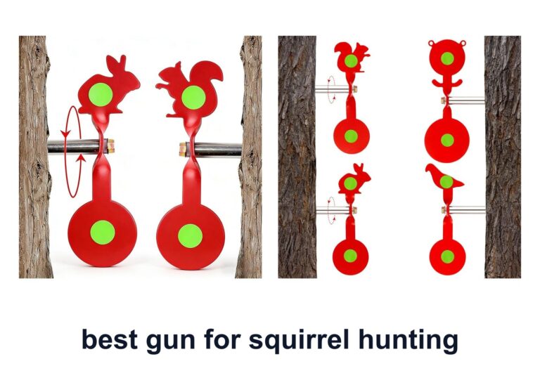 2 Best Gun Squirrel Hunting For Precise Shots