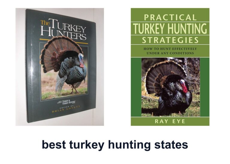10 Best Turkey Hunting States To Hunt Smarter
