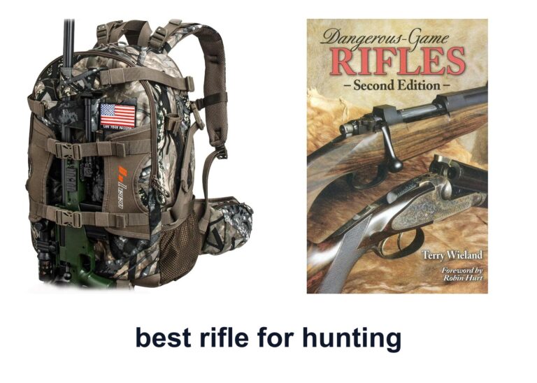 10 Best Rifle Hunting To Improve Field Accuracy