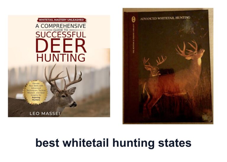 10 Best Whitetail Hunting States To Hunt Smarter