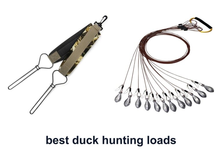 10 Best Duck Hunting Loads For Field Training