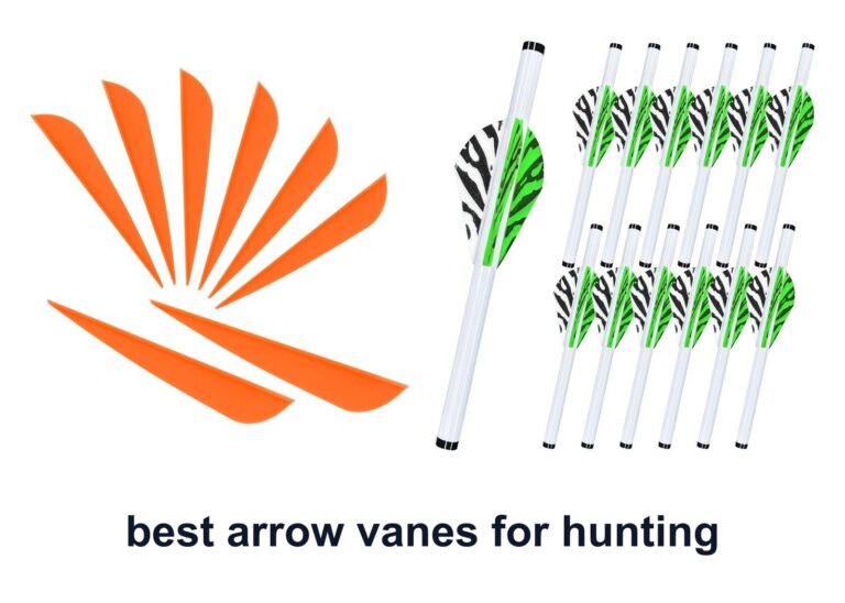 10 Best Arrow Vanes Hunting For Steadier Flights