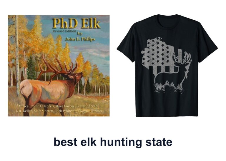 10 Best Elk Hunting State Guides For Smarter Hunts